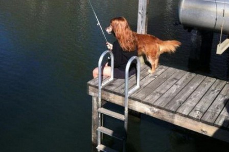 rousse_peche_chien.jpg