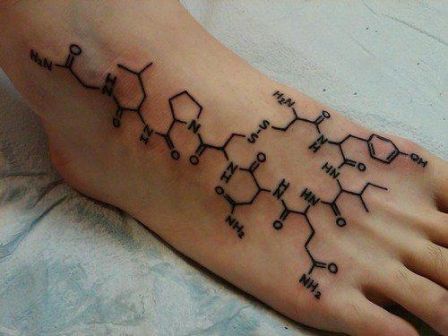 saint_valentin_tatouage_An_oxytocin_molecule__the_hormone_that_makes_one_fall_in_love.jpg