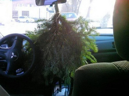 sapin_vert_voiture.jpg