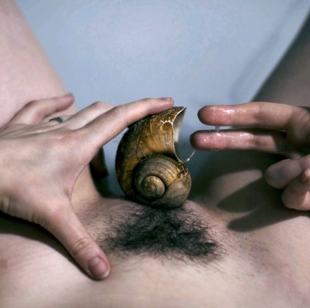 sexe_escargot_erotisme_de_Bourgogne.jpg