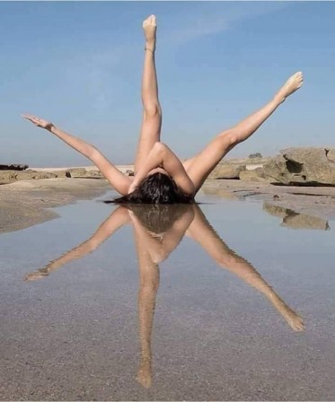 star étoile de mer.jpg