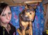 tel_maitre_tel_chien.jpg