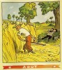 tintin_aout_1944_moisson_chaleur.jpg