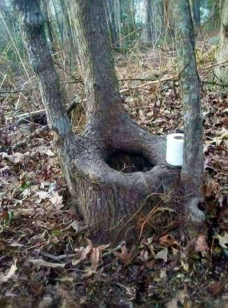 toilettes écologiques la nature est bien faite.jpg