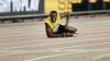 usain bolt chute.jpg