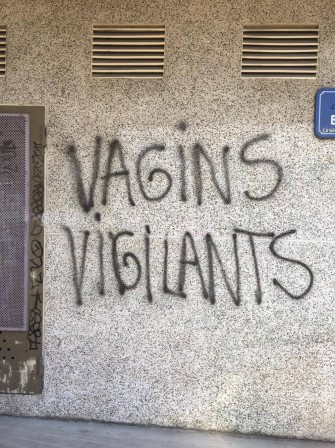 vagins vigilants.jpg