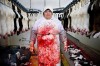 vegetarien_gore_abattoir.jpg