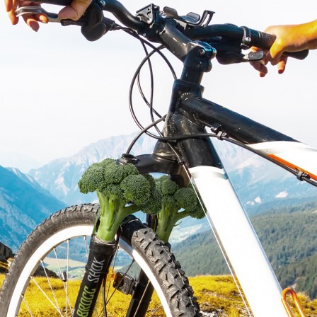 vélo vegan suspensions brocolis.jpg