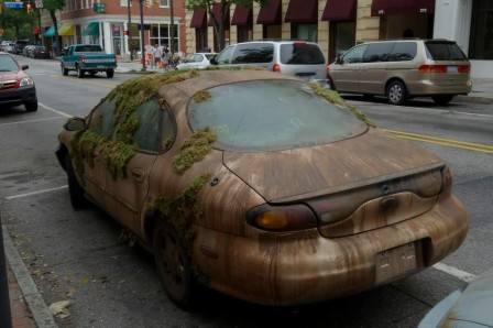 voiture mousse automne.jpg