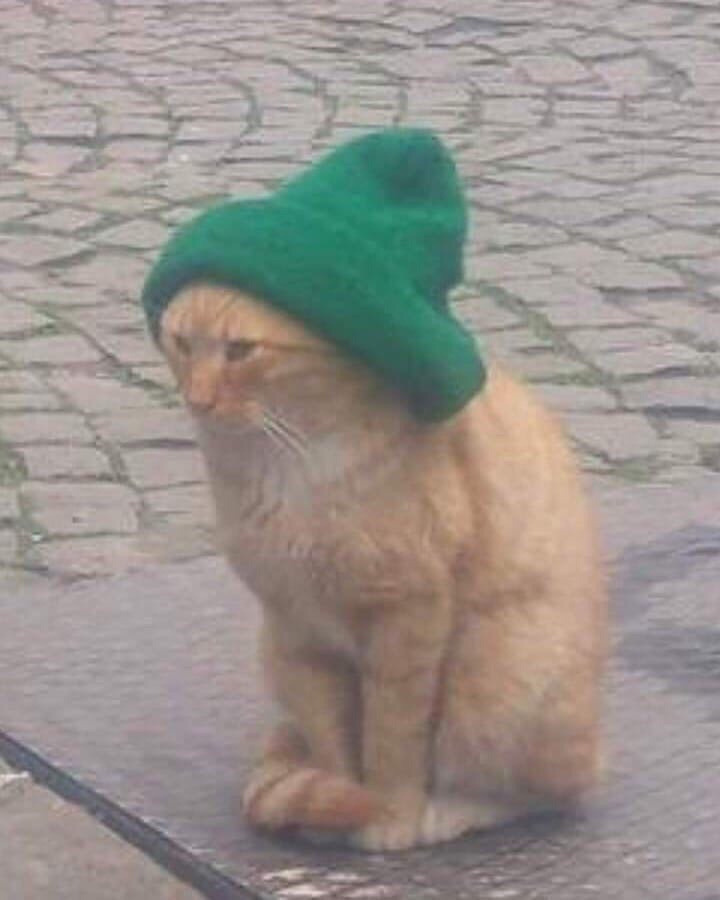 bref, on m'a offert un bonnet - Bretzel liquide, humour noir, propos et  photos étranges