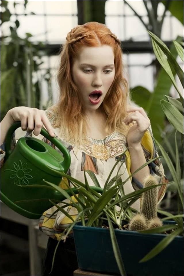 il faut cultiver son jardin - Bretzel liquide, humour noir et photos étranges