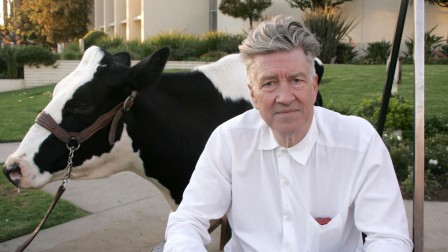 David Lynch vache.jpg, nov. 2020