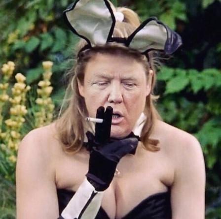 Donald Trump Bridget Jones diary bunny.jpg, déc. 2020