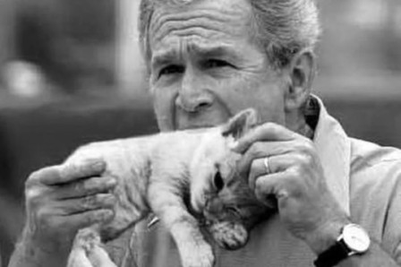 George W. Bush mangeant un chaton chat l'intelligence artificielle doit elle nous couper l'appétit.jpg, mai 2023