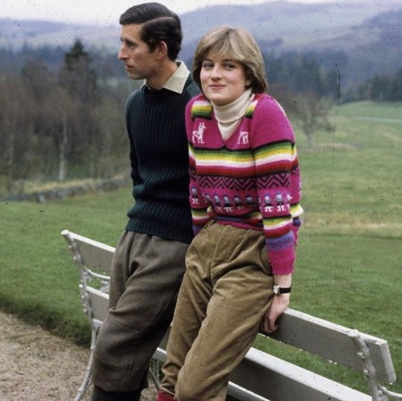 Lady Diana Princess of Wales pull.jpg, déc. 2020