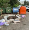 Paris 16ème arrondissement sanglier sur un matelas grasse matinée lendemain de fête bonne année réveillon.jpg, déc. 2022