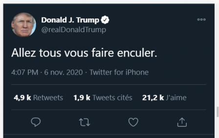 @ceciestmontweet Donald Trump allez tous vous faire enculer.png, nov. 2020