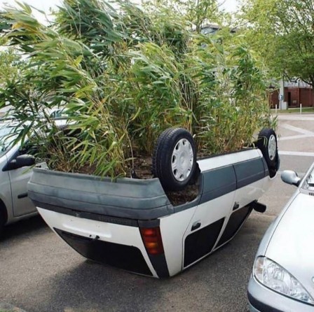 automobile verte voiture et écologie.jpg, juin 2020