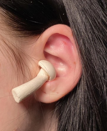 champignon airpods pro bio.jpg, juin 2021