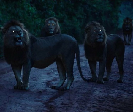 la nuit tous les lions sont gris.jpg, juin 2021