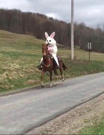 lapin de pâques à cheval.jpg, avr. 2020