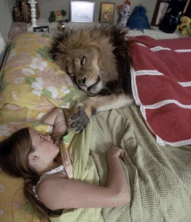 le lion dans le lit tu as bien dormi.jpg, fév. 2021