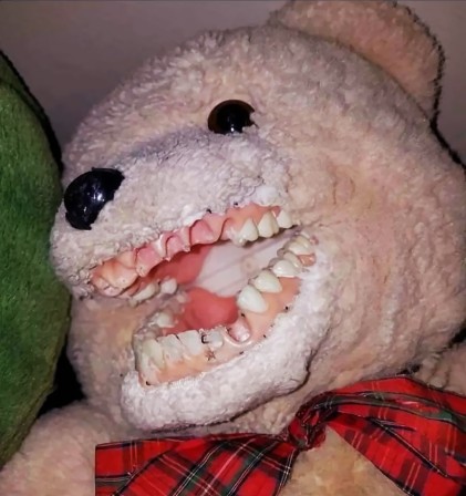 les dents de l'ours en peluche