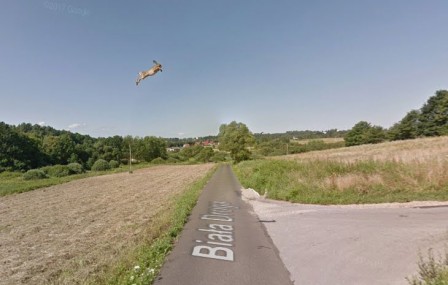 lièvre volant lapin google maps.jpg, déc. 2020