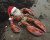 menu de Noël Homard m'a cuisiner