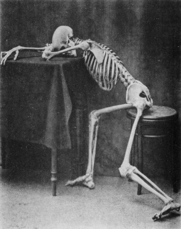 mort squelette je compte jusqu'à 10.jpg, janv. 2021