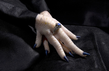 poulet poule mains avec bague et ongles vernis.png, nov. 2023