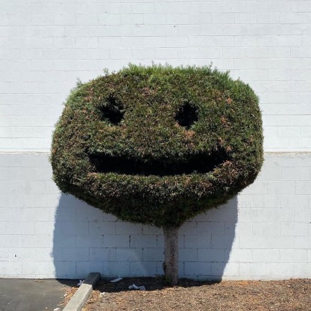 smiley buisson.jpg, janv. 2021