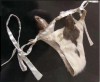 string en peau de rat.jpg, janv. 2020