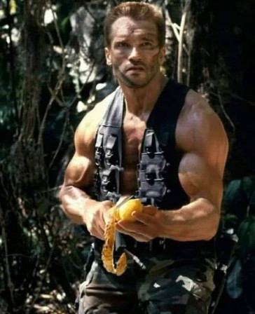 Arnold Schwarzenegger Predator 1987 citron ta mission si tu l'acceptes sera de préparer la citronnade.jpg, juil. 2021