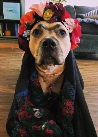 Frida Kahlo chien.jpg