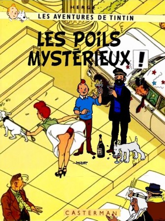 Tintin_les_poils_mysterieux.jpg
