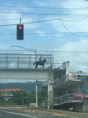 Zorro un cavalier qui surgit de l'A 86.jpg