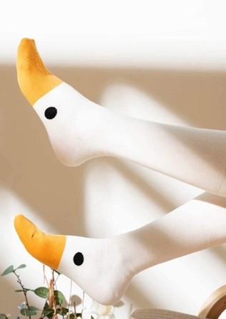 chaussettes d'oies pour les doigts de pieds de l'oiseau