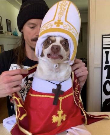 chien pape the new pope.jpg, fév. 2020