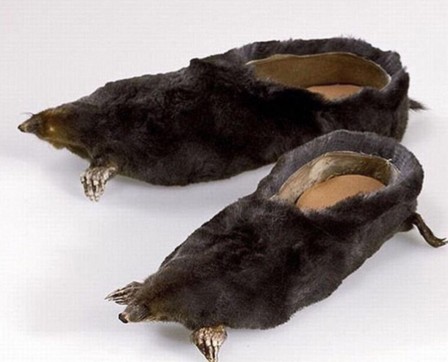 des souliers de taupe modèle.jpg, nov. 2020