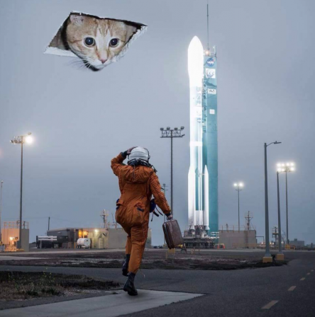 la conquête de l'espace planète chat.png