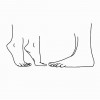 la pointe des pieds bonjour.jpg