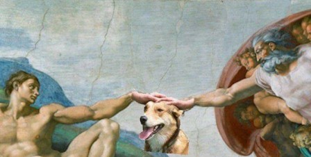 le doigt de dieu sur la tête du chien.jpg