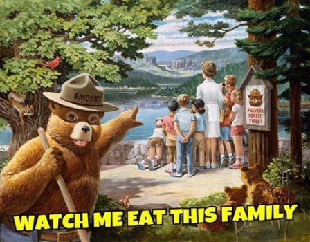 petit ours brun mange une famille.jpg