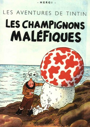 tintin_champignon.jpg