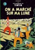 tintin_cul001_lune.jpg