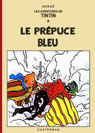 tintin_et_Le_prepuce_bleu_froid.jpg