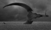 Alexey Egorov mer calme.jpg