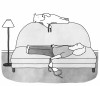 Amy Hwang collier de chien soutien-gorge dès que nous étions à la maison nous enlevions ces instruments de torture.jpg, mars 2023