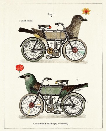 Beto Val Birdcycle vélo oiseau.jpg, janv. 2023